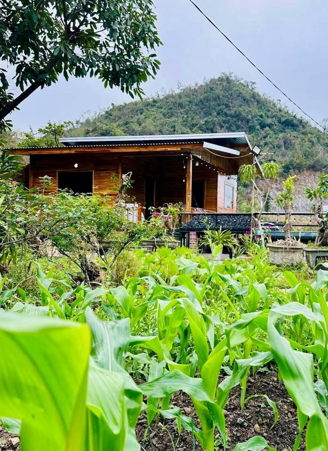 Cat Ba Love House Xuan Dam Dış mekan fotoğraf