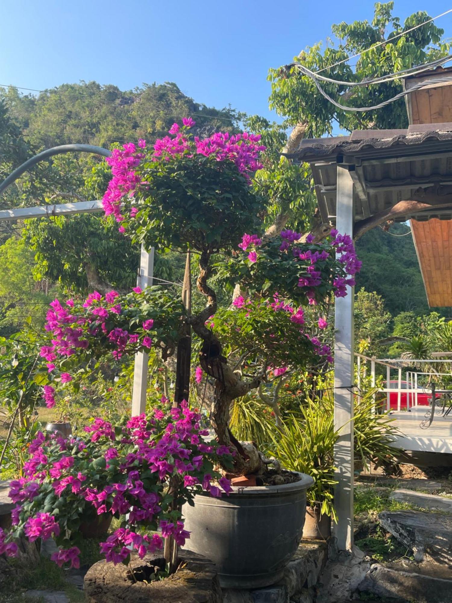 Cat Ba Love House Xuan Dam Dış mekan fotoğraf